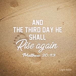 Meet your Posher, Pam